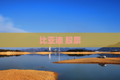 比亚迪 股票