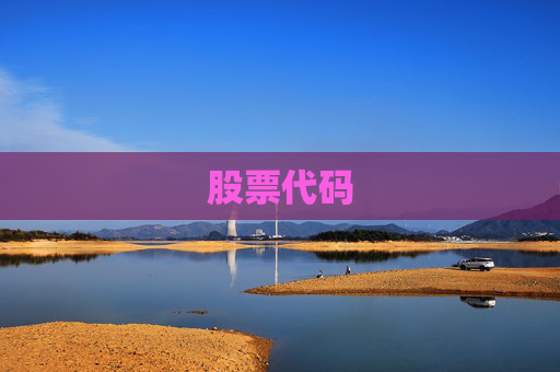 股票代码