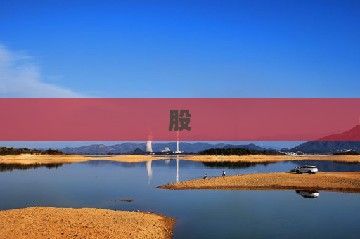 股