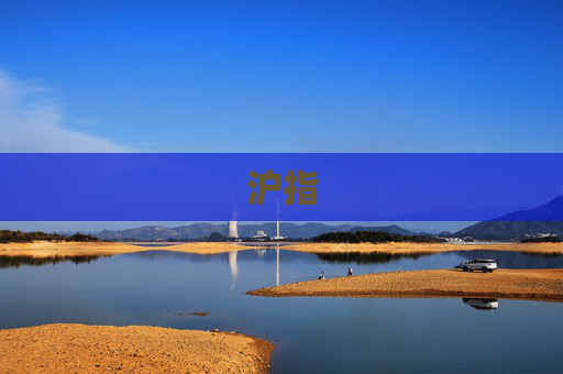 沪指