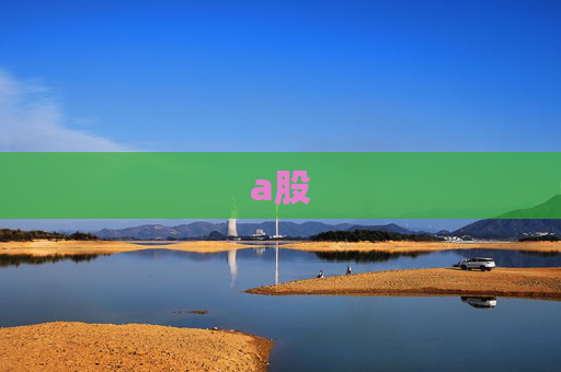 a股