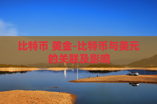 比特币 美金-比特币与美元的关联及影响