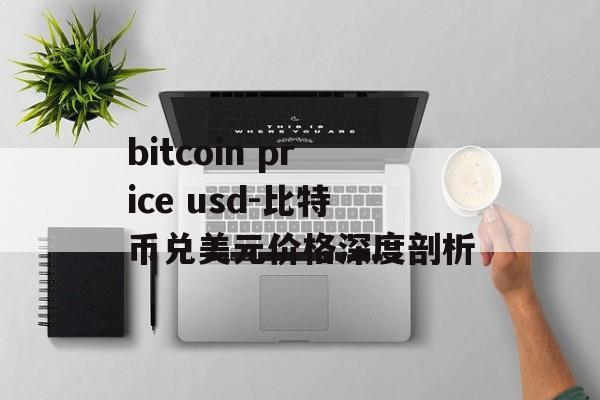 bitcoin price usd-比特币兑美元价格深度剖析