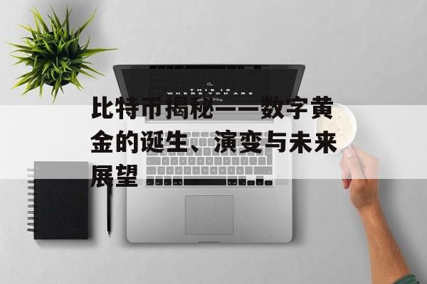 比特币揭秘——数字黄金的诞生、演变与未来展望